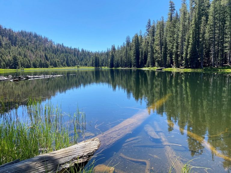 Hiking From Tioga Road to Lukens Lake and White Wolf