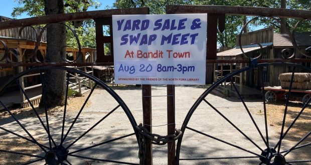Image of Friends Of The North Fork Library Yard Sale and Swap Meet