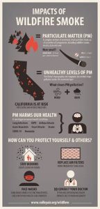 Image of an infographic detailing the dangers of wildfire smoke. 