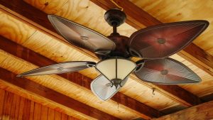 Image of a ceiling fan. 