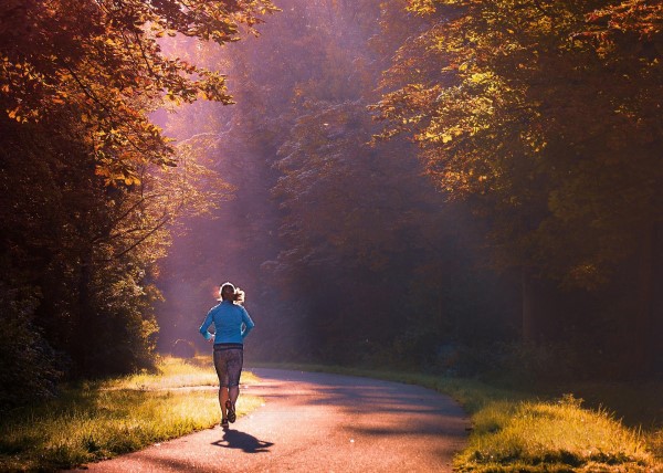 Image of a person jogging down a forest road. 