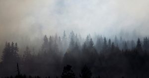 Image of smoke over a forest.