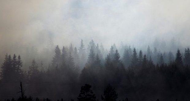 Image of smoke over a forest.