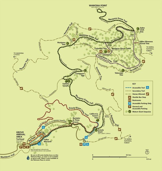 Image of a map of the Mariposa Grove of Giant Sequoias. 