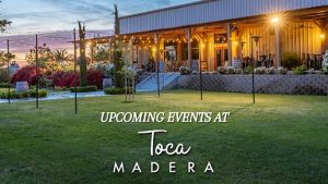 Image of Toca Madera winery's back patio with string lights over the lawn