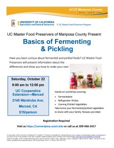 Image of a flyer for basics of fermenting and pickling