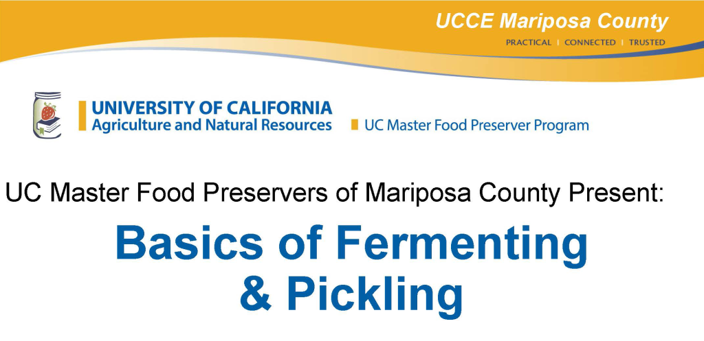 Basics of Fermenting & Pickling
