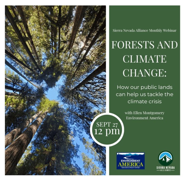 Image of the Forest and Climate Change flyer.