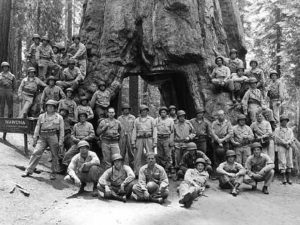 Image of veterans in Yosemite in front of the big tree trunk that you are able to drive a car through