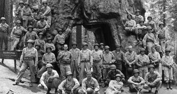 Image of veterans in Yosemite in front of the big tree trunk that you are able to drive a car through