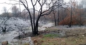 Image of water runoff after a forest fire.