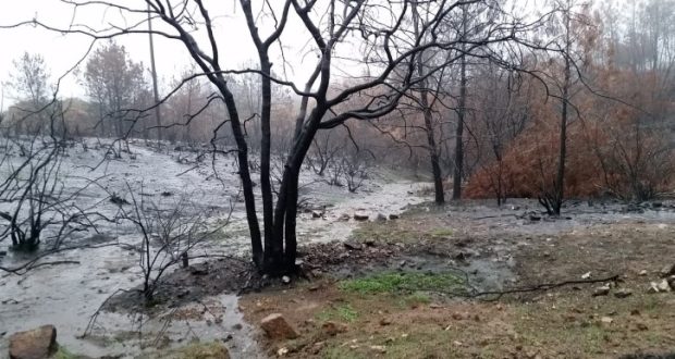 Image of water runoff after a forest fire.