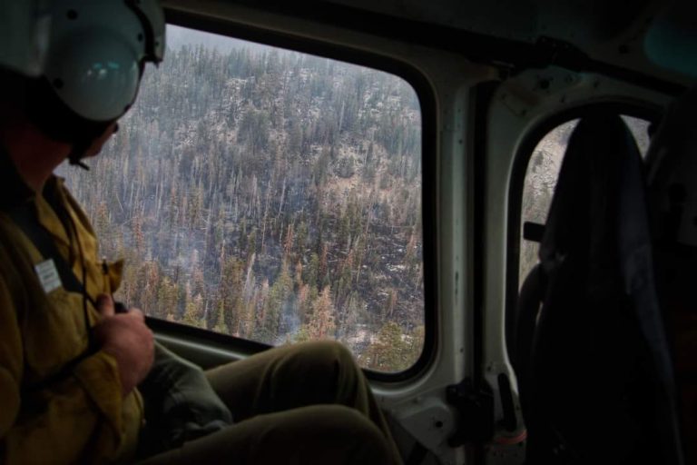 Fork Fire And Yosemite Lightning Fires