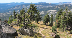 Image of Sierra National Forest. 