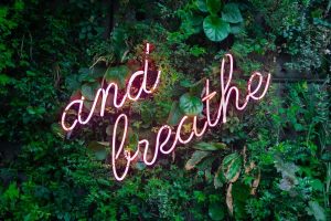 Image of a neon sign saying "and breathe" against a wall of ivy. 