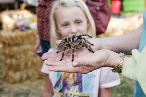 Image of a lady holding a tarantula in her hand with kids watching