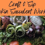 Craft & Sip Pumpkin Succulent Workshop