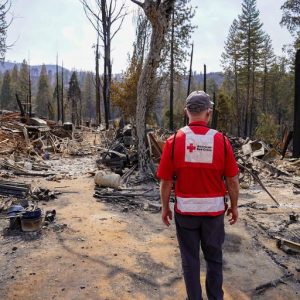 Image of a Red Cross volunteer surveying a forest fire.