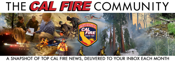 Image of a CAL FIRE banner ad. 