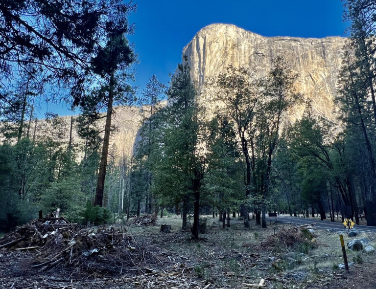 Yosemite Seasonal Prescribed Burns
