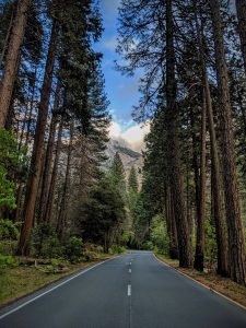 Image of a road going through Yosemite. 