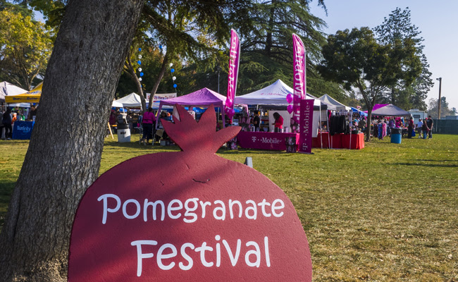 Image of the Pomegranate Festival
