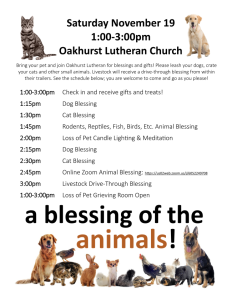 FLyer for animal blessing by the lutheran church