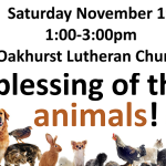 Animal Blessings at the Oakhurst Luther Church