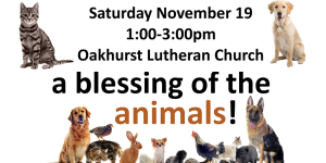 Header for the oakhurst lutheran church blessing of the animals