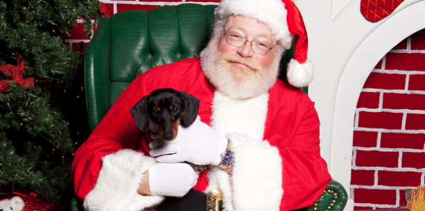 Photo of Santa Claus holding a dog on his lap