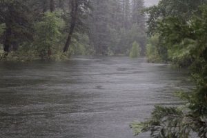 Image of Merced River in January