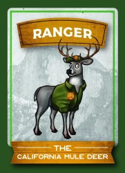 Image of Ranger.