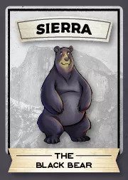 Image of Sierra. 