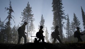 Image of Forest Service workers walking through a forest.