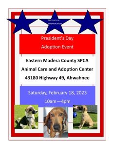 Image of the pet adoption flyer.
