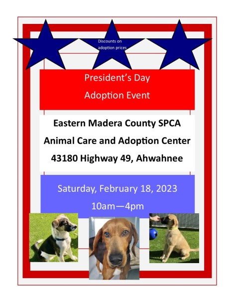 Image of the pet adoption flyer. 
