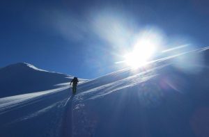 Image of someone skiing in Tuolumne Meadows.