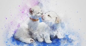 Image of a watercolor painting of a kitten and puppy kissing.