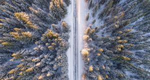 Image of a snowy road going through a forest.