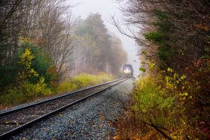 Image of an Amtrak train going through a forest in the fog.