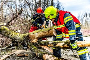 Image of fire fighters removing a tree trunk.
