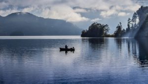 Image of a fisherman in a boat on a lake.