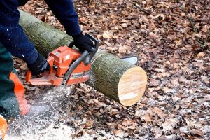 Image of a man cutting a log with a chainsaw.