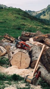 Image of freshly cut firewood.