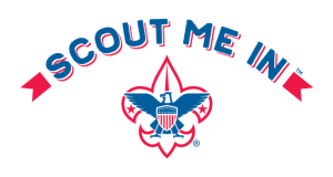Image of the Scout Me In logo.