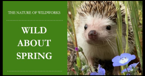 Image of the banner ad for Wild About Spring.