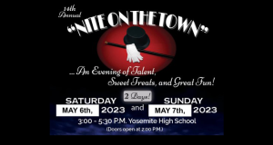 Image of the banner ad for "Nite on the Town."