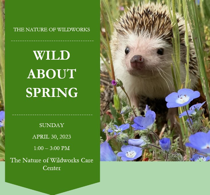 Flyer for wild about spring event
