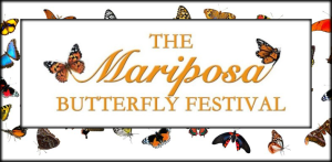 Image of the banner ad for the Mariposa Butterfly Festival.