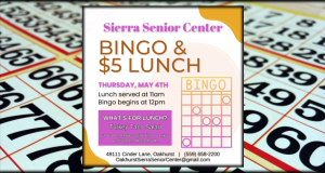 Image of the banner ad for the Bingo and lunch.